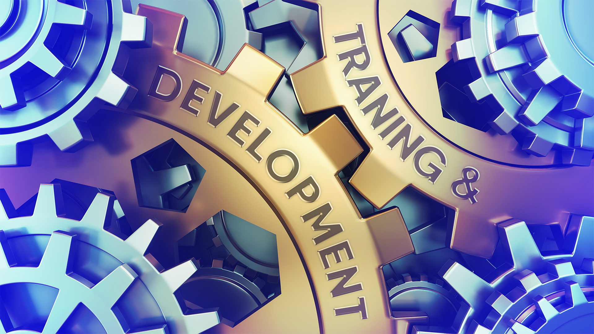 ImageGrafix Software FZCO offers software training to organization-specific, either on-site at the client’s location or at our training facilities.